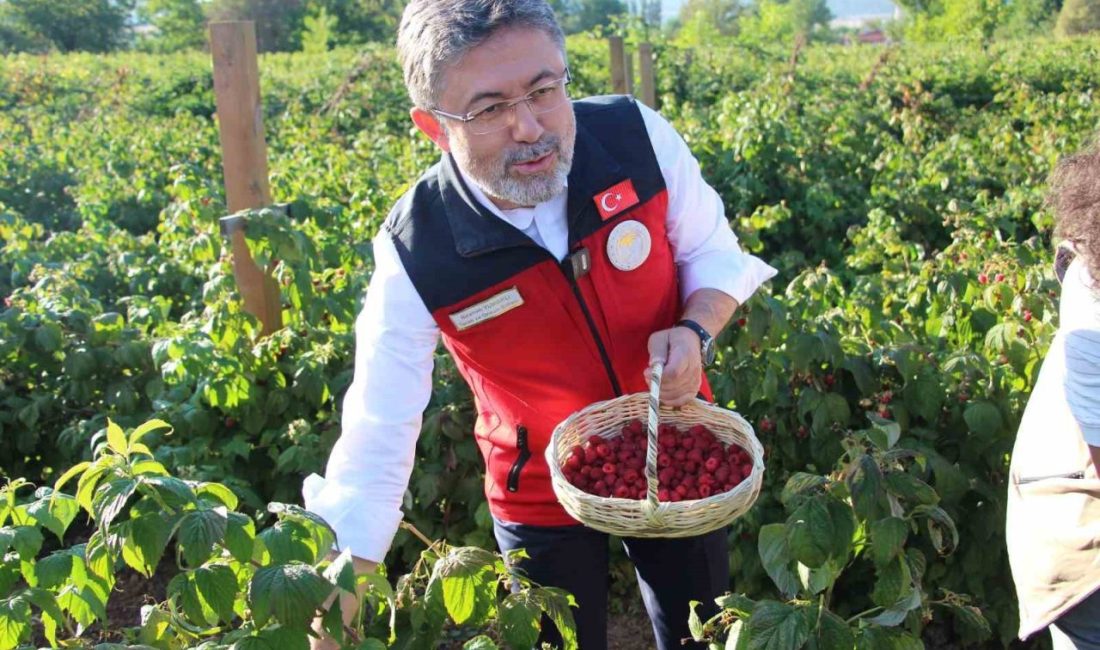 Tarım ve Orman Bakanı İbrahim Yumaklı, Bolu’da genç bir üreticinin