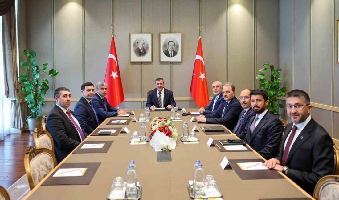 Çalışma ve Sosyal Güvenlik Bakanı Vedat Işıkhan, Azerbaycan Çalışma ve