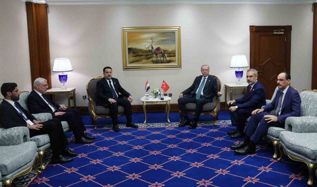 Cumhurbaşkanı Recep Tayyip Erdoğan, İslam İşbirliği Teşkilatı ve Arap Ligi