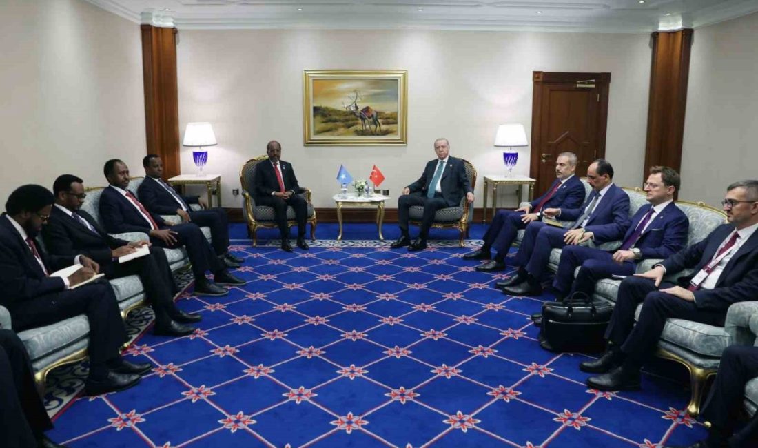 Cumhurbaşkanı Recep Tayyip Erdoğan, İslam İşbirliği Teşkilatı ve Arap Ligi