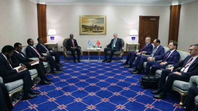 Cumhurbaşkanı Recep Tayyip Erdoğan, İslam İşbirliği Teşkilatı ve Arap Ligi