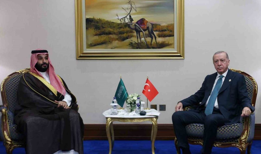 Cumhurbaşkanı Recep Tayyip Erdoğan, İslam İşbirliği Teşkilatı ve Arap Ligi