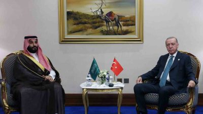 Cumhurbaşkanı Recep Tayyip Erdoğan, İslam İşbirliği Teşkilatı ve Arap Ligi