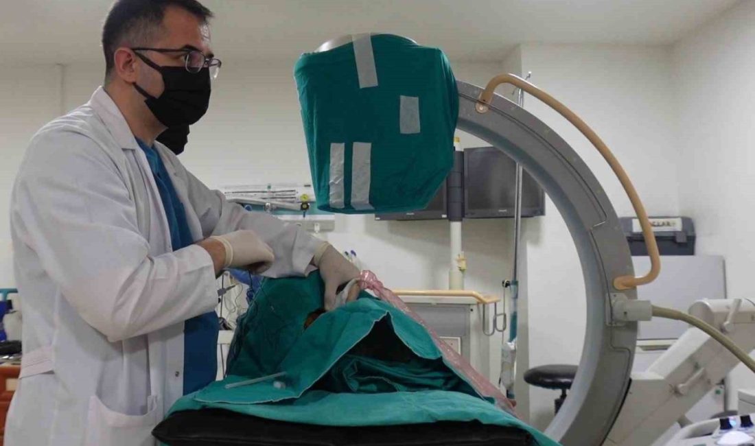 Algoloji tedavisi hakkında bilgi veren Dr. Mustafa Özdemir, “Algoloji tedavisinin