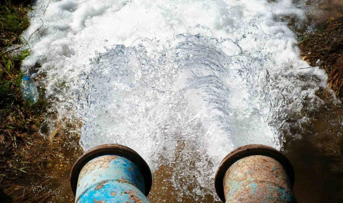 Güneydoğu’da kuraklığa rağmen sürdürülen izinsiz mısır ekimi, bölgedeki enerji sorununu