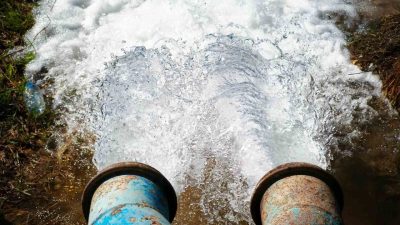 Güneydoğu’da kuraklığa rağmen sürdürülen izinsiz mısır ekimi, bölgedeki enerji sorununu