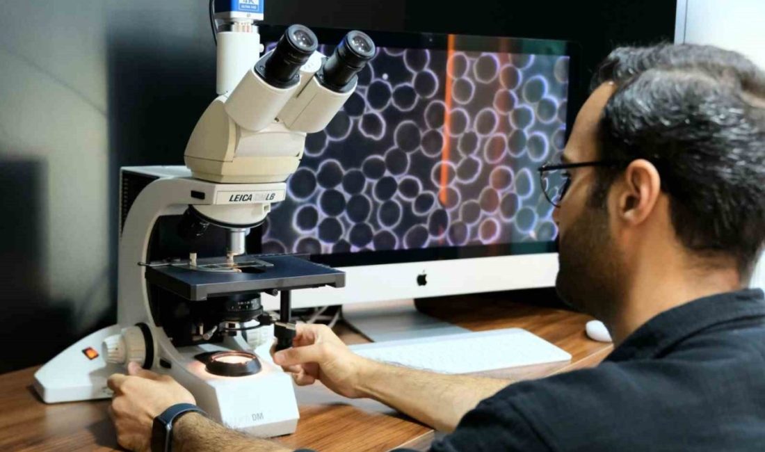 Sağlıklı hayat ve yaş alma, artık dünyanın en önemli konularından