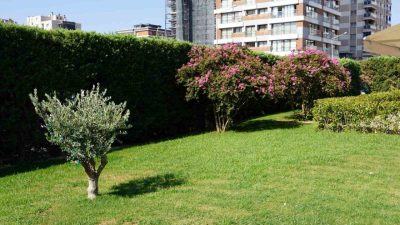 İzmir Ekonomi Üniversitesi (İEÜ) Medical Point Hastanesi, 30 yıllık sağlık