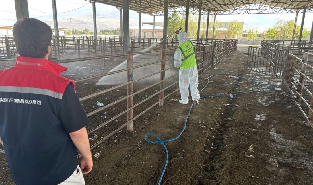 Iğdır’da açılan hayvan pazarı 2 hafta sonra yeniden kapatıldı. Türkiye’de