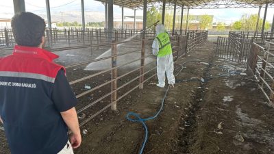 Iğdır’da açılan hayvan pazarı 2 hafta sonra yeniden kapatıldı. Türkiye’de