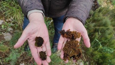 Bursa Uludağ Üniversitesi’nden Prof. Dr. Aydın Türkeç’in proje koordinatörlüğünü üstlendiği