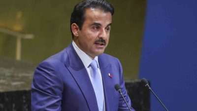 Katar Emiri Şeyh Tamim bin Hamad Al Thani, BM Genel