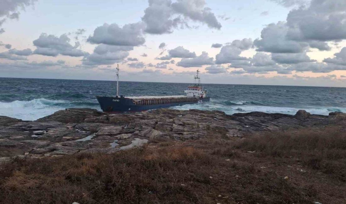 Ulaştırma ve Altyapı Bakanlığınca, Kocaeli’de Kefken Pembe Kayalıklar mevkisinde karaya