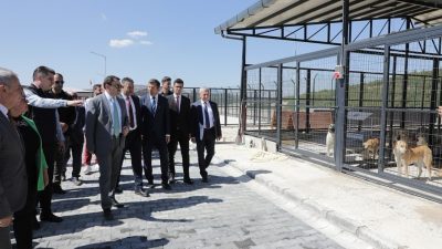 Kütahya Valisi Musa Işın, Şaphane ilçesinde yapımı tamamlanan hayvan barınağında