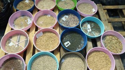 ‘Yerel Tohum Ulusal Güç’ sloganıyla kurulan ve bugüne kadar Türkiye’nin