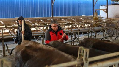 Muğla İl Tarım ve Orman Müdürlüğü, hayvancılığı tehdit eden en