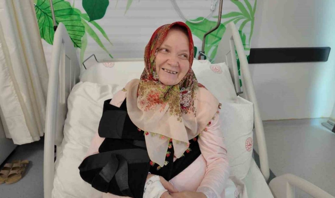 Niğde Ömer Halisdemir Üniversitesi Eğitim ve Araştırma Hastanesi, önemli bir