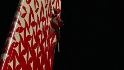 Rus hava yolu Rossiya’ya ait bir yolcu uçağı, başkent Moskova’daki