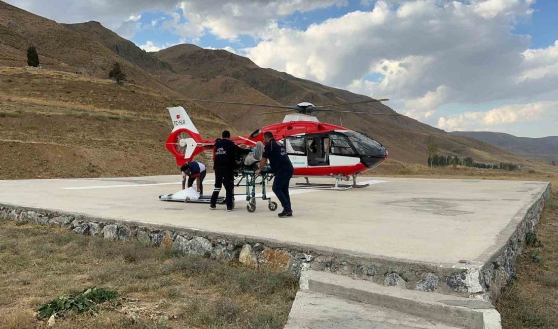 Van’ın Başkale ilçesinde serebrovasküler hastalığı (SVO) bulunan 77 yaşındaki hasta,