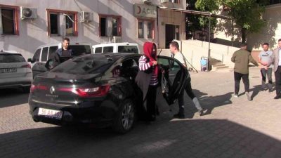 Siirt’in Pervari ilçesine bağlı Aşağıbağcılar köyünde yaşayan vatandaşlar, zorlu arazi