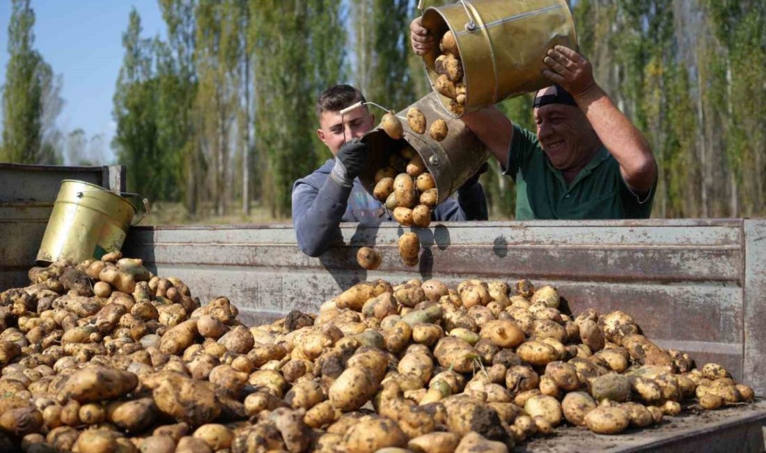 Tarımsal girdi fiyat endeksi (Tarım-GFE) yıllık yüzde 34,22 arttı, aylık