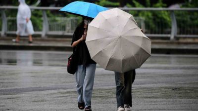 Vietnam’da bugün karaya çıkan Bualoi Tayfunu’nun yol açtığı şiddetli rüzgar