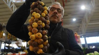 Sivas’ın yüksek rakımlı bölgelerinde kendiliğinden yetişen üvez ağaçları, iki yılda