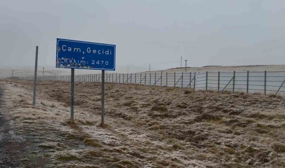 Ardahan’ı Artvin’e bağlayan 2470 rakımlı Sahara Geçidi’nde etkili olan kar