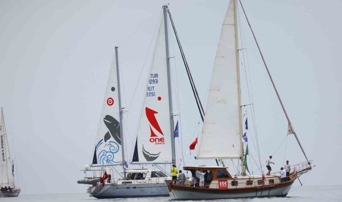 Deniz tutkunlarının heyecanla beklediği Maximiles Black 37. The Bodrum Cup,