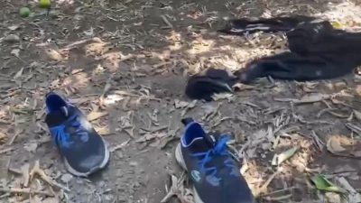 Antalya’nın Manavgat ilçesindeki 5 yıldızlı bir otele motosikletli iki kişi