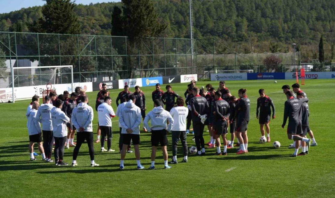 A Milli Futbol Takımı, 2026 FIFA Dünya Kupası Elemeleri E