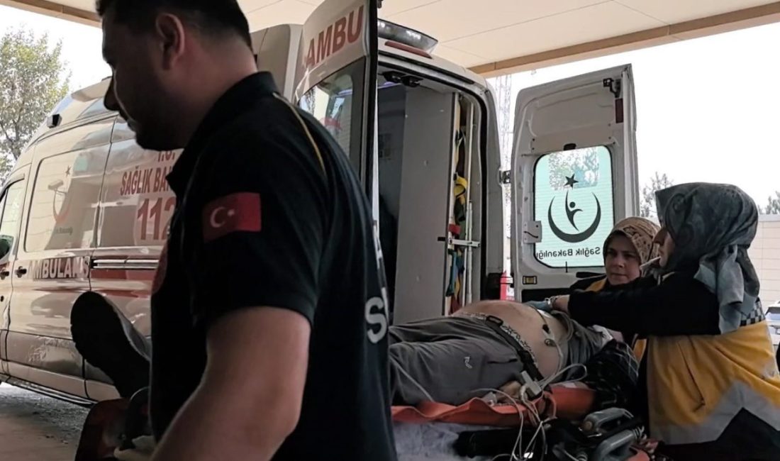 Ağaçtan düşen adam hayatını kaybetti Bursa’nın İnegöl ilçesinde ceviz ağacından düşen adam kaldırıldığı hastanede hayatını