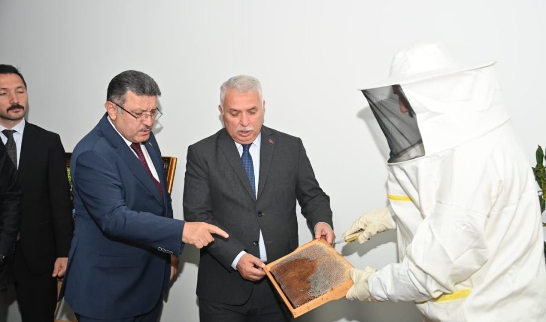 Ağasar Balı markalaşacak Ağasar Balı’nın marka değerinin artırılması ve coğrafi işaret tescili sürecine