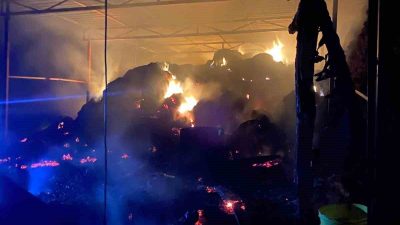 Antalya’nın Gazipaşa ilçesi Göçük Mahallesi Sümbüller mevkiinde Hayati Yaman’a ait