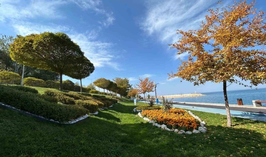 Van Yüzüncü Yıl Üniversitesi Edebiyat Fakültesi Coğrafya Bölümü Öğretim Üyesi