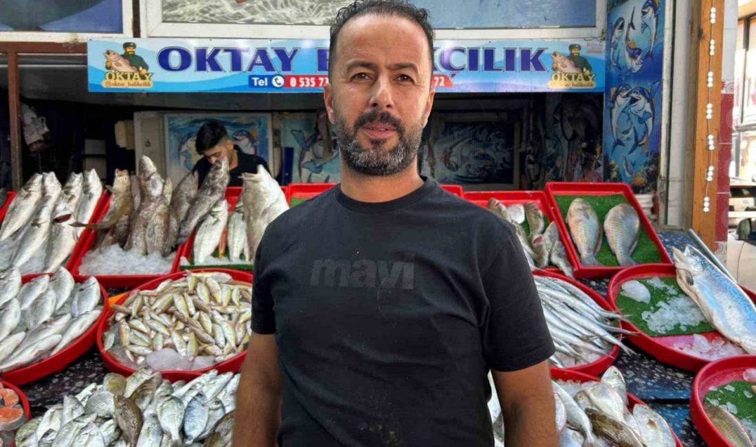 Hatay’da Akdeniz açıklarında teknenin çapa halatına dolanan devasa büyüklükteki köpek