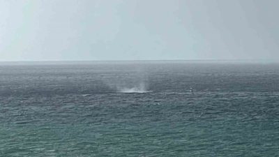 Antalya’nın Alanya ilçesi İncekum sahili açıklarında sabah saatlerinde oluşan hortum,