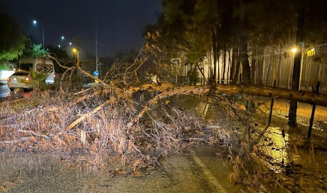Alanya Belediyesi, olumsuz hava şartlarına karşı gece boyunca sahada aktif