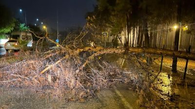 Alanya Belediyesi, olumsuz hava şartlarına karşı gece boyunca sahada aktif