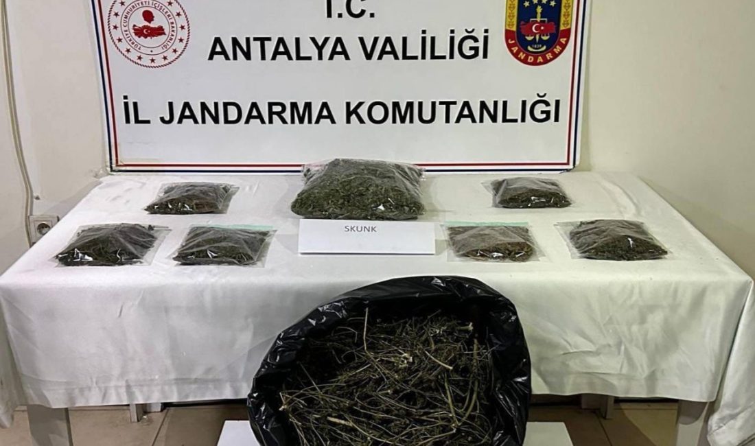 Antalya İl Jandarma Komutanlığı ekipleri tarafından Alanya’da düzenlenen operasyonda bir