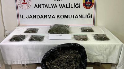 Antalya İl Jandarma Komutanlığı ekipleri tarafından Alanya’da düzenlenen operasyonda bir
