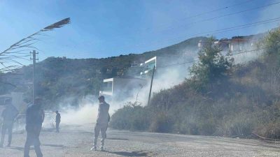 Antalya’nın Alanya ilçesinde ağaçlık alanda çıkan yangın, ekiplerin havadan ve