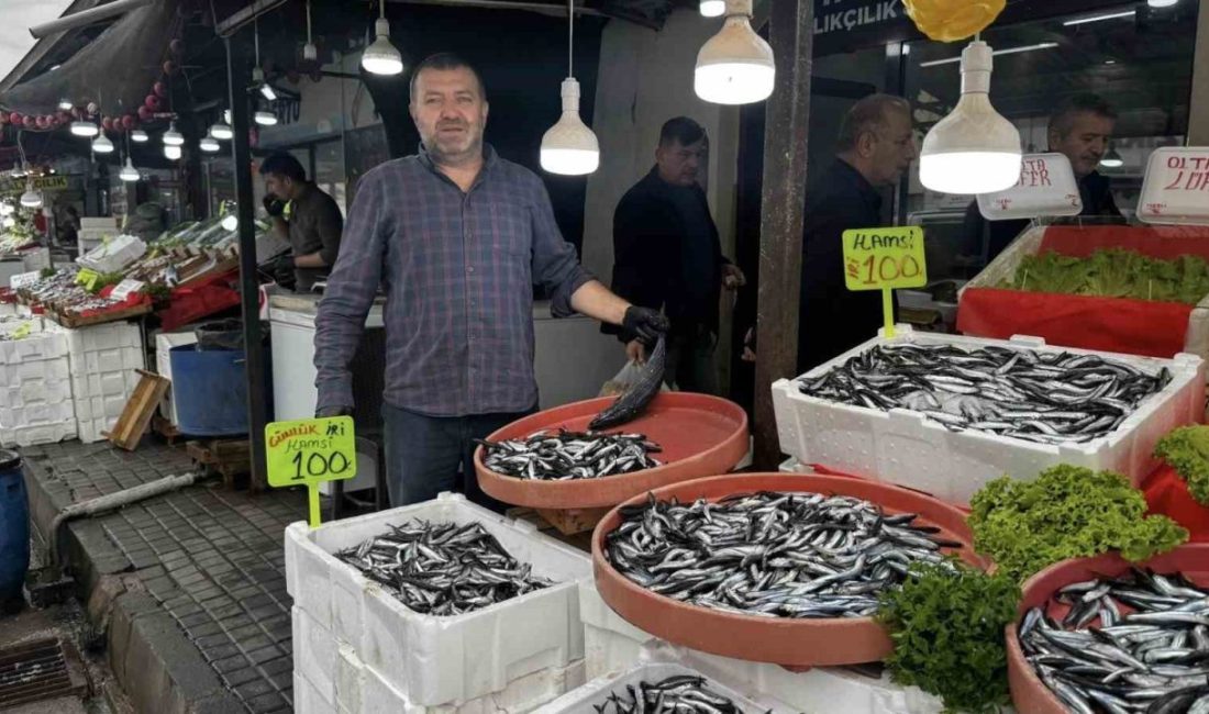 Zonguldak’ın Alaplı İlçesinde Balıkçılar,vatandaşın sofrasına yeniden balık girmesi için fiyatları