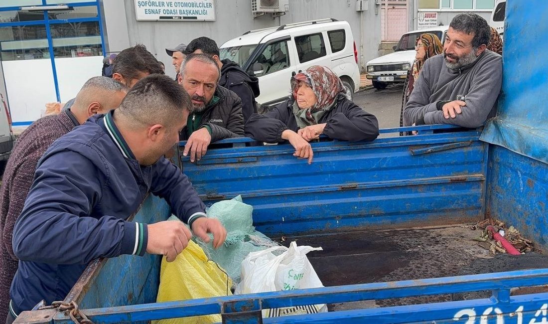 Türkiye genelinde son yıllarda yaşanan kuraklık ve gal arısı istilası,