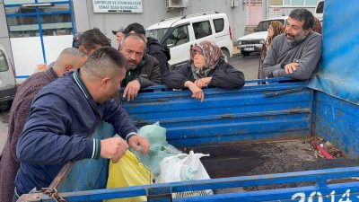 Türkiye genelinde son yıllarda yaşanan kuraklık ve gal arısı istilası,