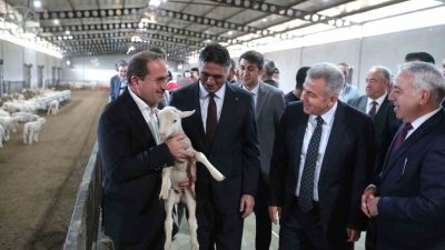 Aliağa Belediyesi ile İzmir İl Tarım ve Orman Müdürlüğü iş