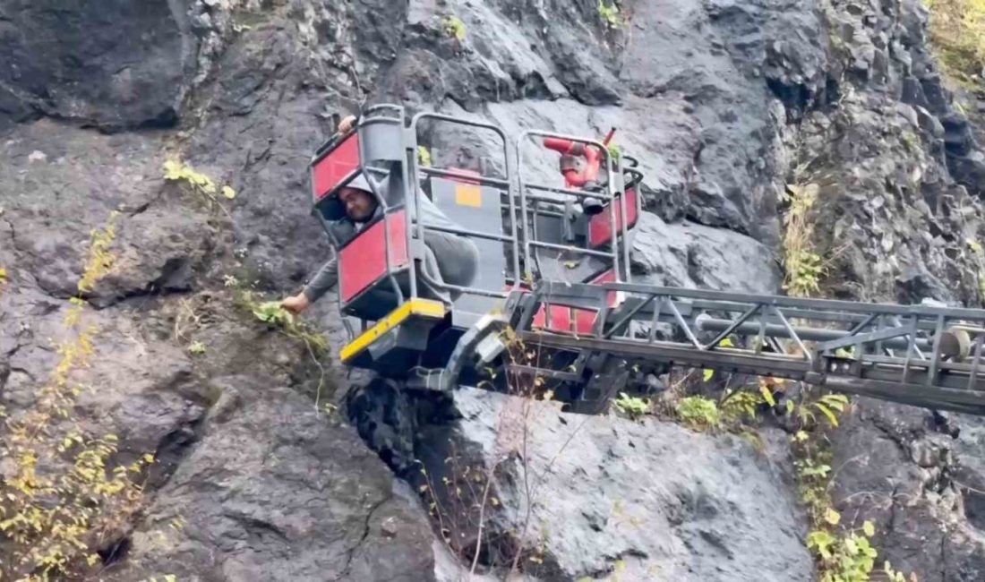 Bartın’ın Amasra ilçesinde yol kenarındaki kayalardan sarkan kablolar, paniğe neden