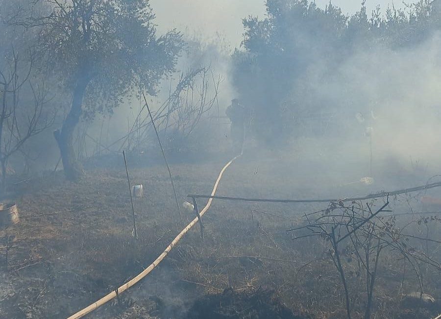 Antakya’da zeytinlik alanda yangın Hatay’da zeytinlik alanda çıkan yangın büyümeden söndürüldü. Yangın, Antakya ilçesi