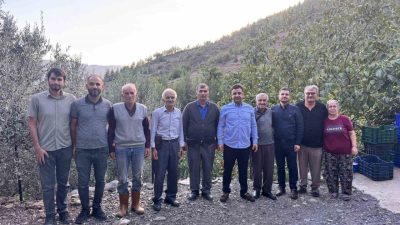 Antalya’nın Gazipaşa ilçesine özgü, coğrafi işaretli çekirdeksiz narda hasat sezonu