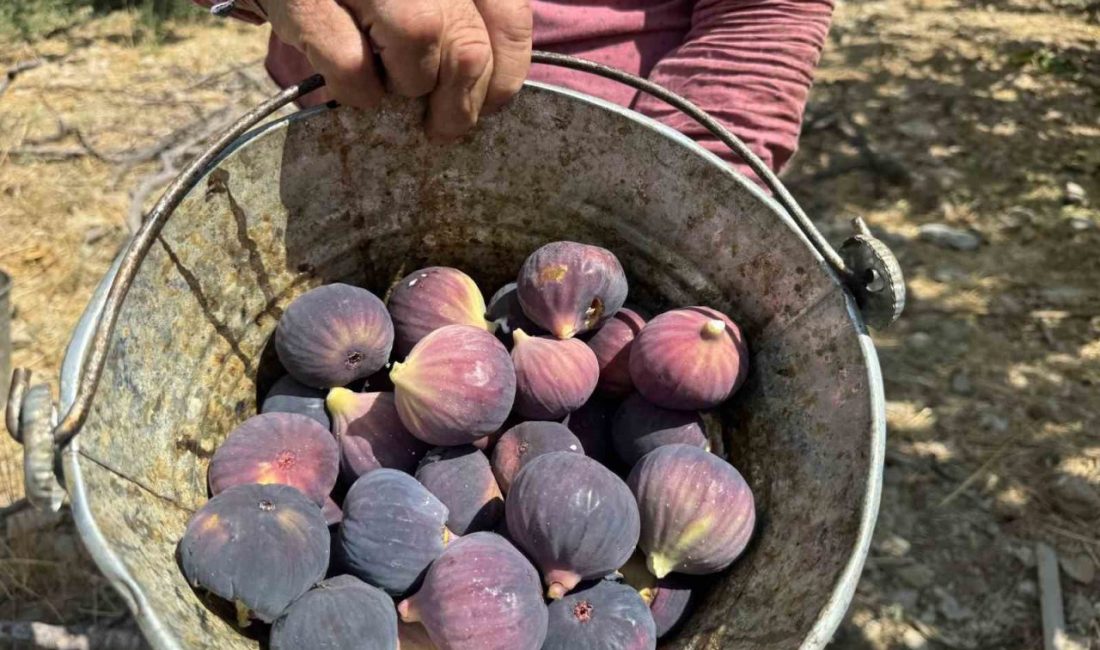 Antalya’nın İbradı ilçesinde hava şartları nedeniyle gecikmeli başlayan Bursa siyah